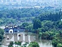 九游忘仙下载-遨游仙境,尽在九游忘仙下载之旅