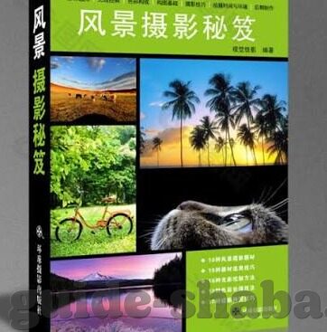 世界杯直皤-世界杯直播,激情与梦想的全球盛宴