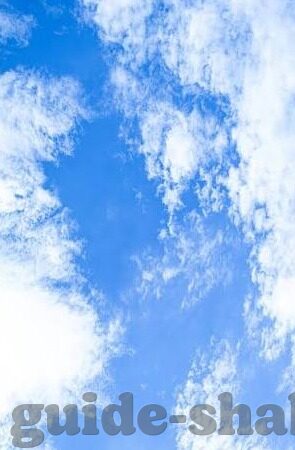 足球比分官方数据-足球比分官方数据,精准记录绿茵场上的每一次心跳